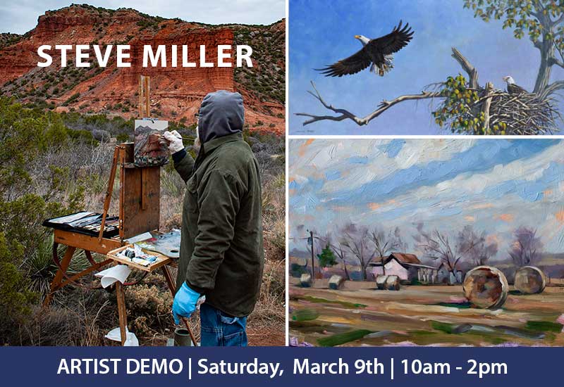 ARTIST DEMONSTRATION BY STEVE MILLER