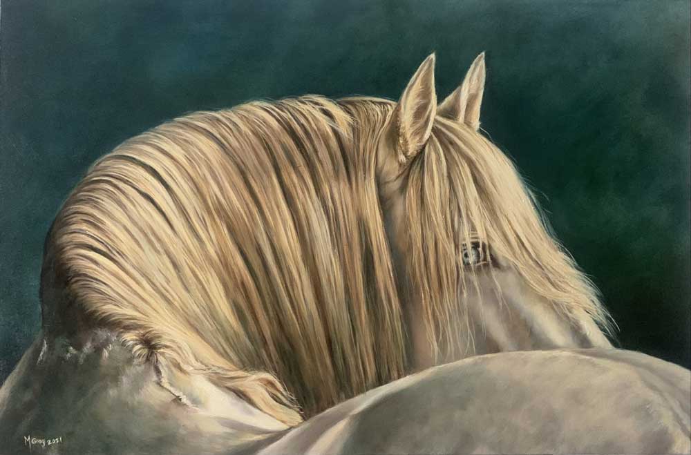 Shaphir by Marie Gray. White Horse.
