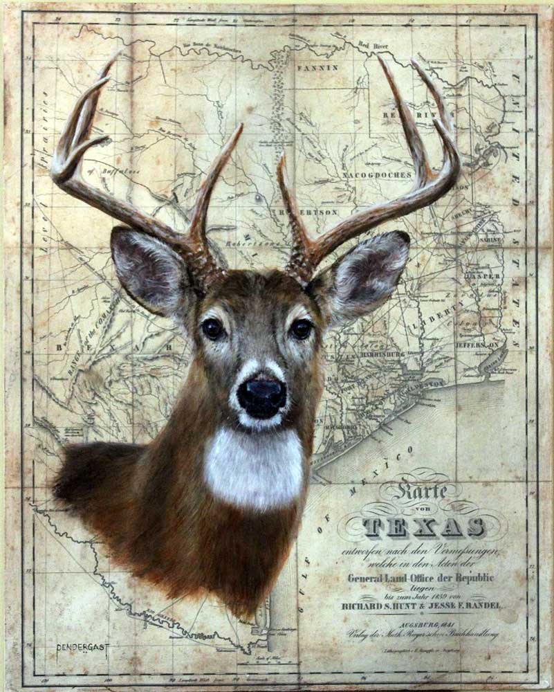 White-tailed Deer Pen and Ink Giclée Art Print
