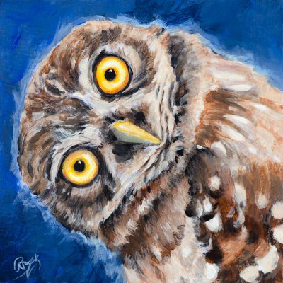 Comical burrowing owl with head tilted original painting