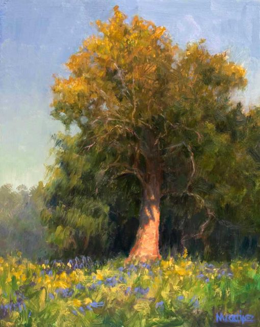 Outdoor plein air painting of a tree in a meadow under a blue sky with golden light on the top of the tree and light on the trunk. An original oil paiunting made outdoors in Forest Park, Missouri