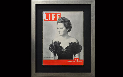 FRAMING PROJECT: The Cover of Life