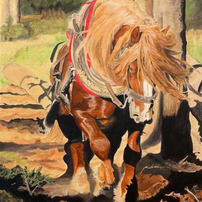 Horse Power by Gail Finger