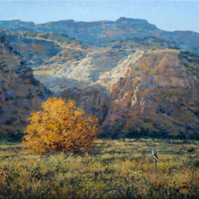 Desert Silence by Gino Santa Maria