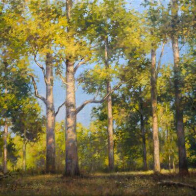 Hush of Dusk by Gino Santa Maria