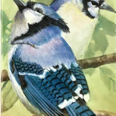 Blue Jays by Joanna Burch