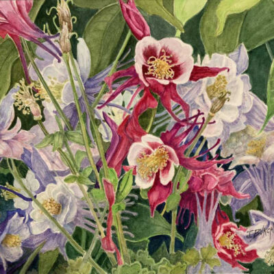 Columbine Choir by Joanna Burch
