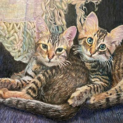 Tabby Kittens by Joanna Burch