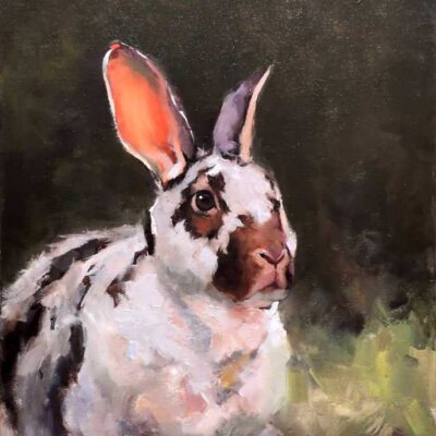 Watchful Bunny by Ashik Nainar
